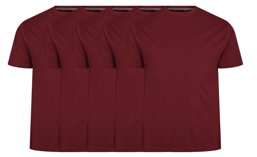 56°4 5 Pack T Shirt 99010 0380 5x Large fra North