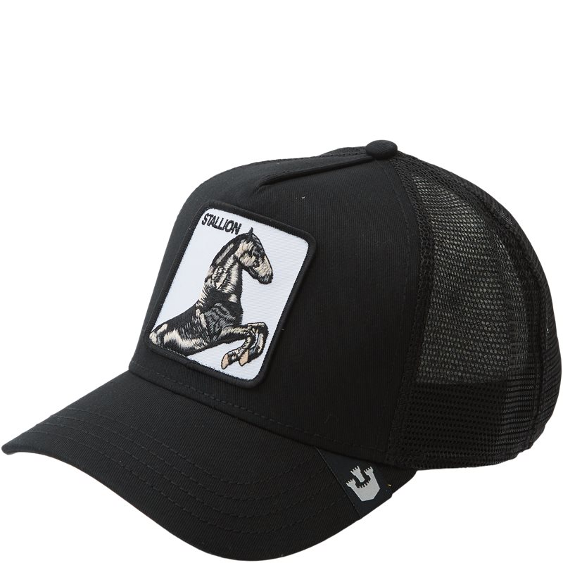 The Stallion 101 0393 Caps fra Goorin Bros